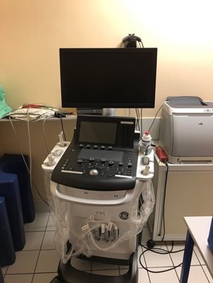 echographe2.jpeg echographe2.jpeg