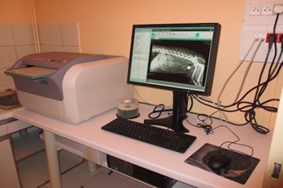 Radiographie - Clinique veterinaire du Roc
